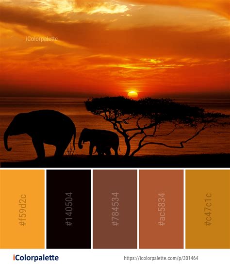 Color Palette ideas from 1478 Sunrise Images | iColorpalette | Sunset ...