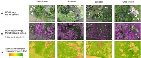 Multispectral Imaging Applications 的图像结果