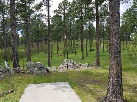 Disc Golf Course Review