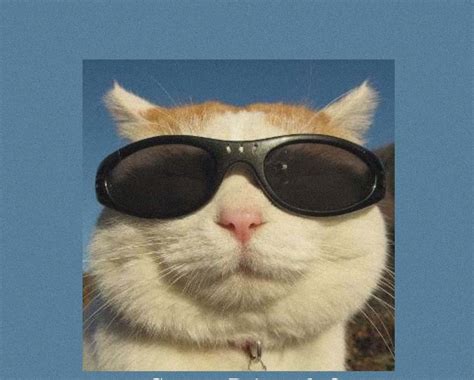 Image result for Fun 9th Grade Science Projects