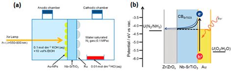Insights into the Recent Progress and Advanced Materials for ...
