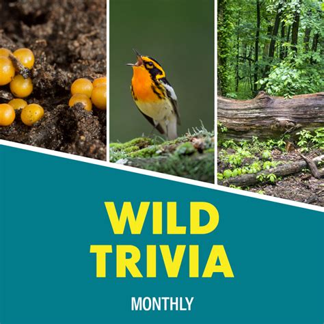 Lake Erie Metropark – Huron-Clinton Metroparks