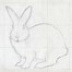 Image result for Drawing of Rabbit