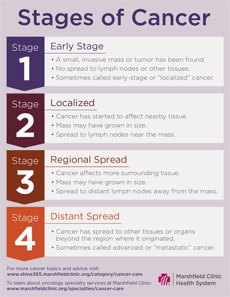 A guide: Cancer stages, terms and side effects | Shine365