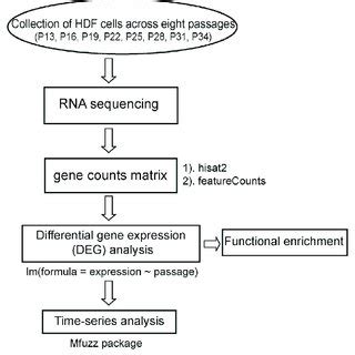 Image result for Transcriptomic Analysis