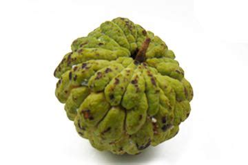 Custard Apple