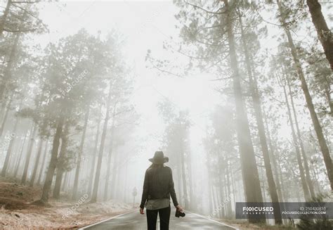 Photographer Back View 的图像结果