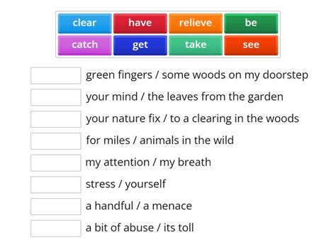 Collocation 的图像结果
