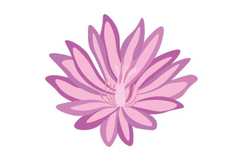 Montana State Flower - Lewisia Rediviva SVG Cut file by Creative ...