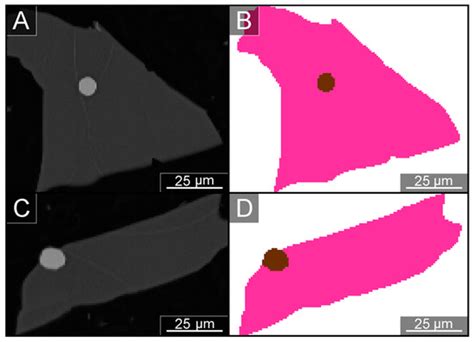 Minerals | Special Issue : Applications of SEM Automated Mineralogy ...