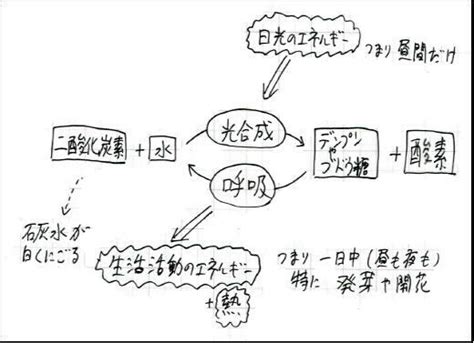 Learn OS Module Python From Beginning に対する画像結果