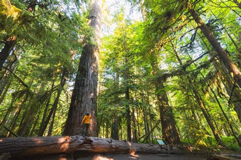 14 Best Port Alberni Hikes: The Complete Guide