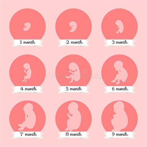 孕9周，胎芽多少正常？胎芽偏小的原因，准妈妈尽量早知道