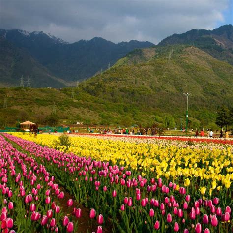 Kashmir in April - Complete Details and Place to visit - Tripmore