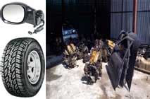 I. Brain Network International