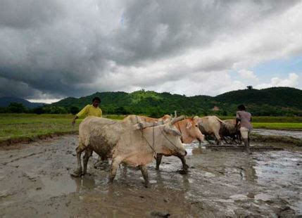 Torrential rains lash flood-hit Bihar, Gaya surpasses monthly mean ...