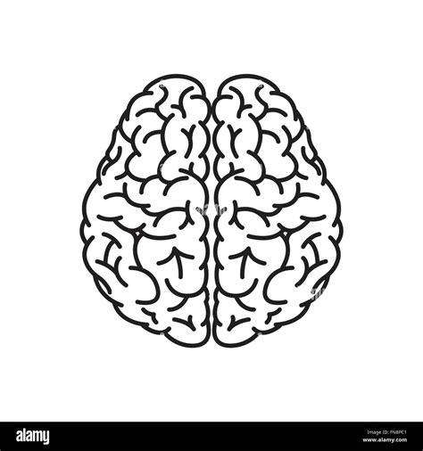 Brain Outline Logo Brain Outline Images – Browse 193,157 Stock