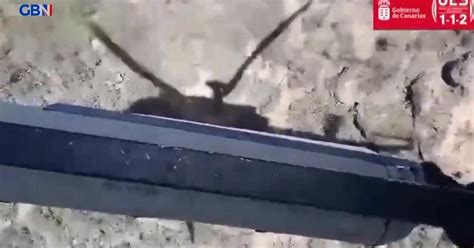 Tourist plunges 100 metres to her death in Spain after falling from ...