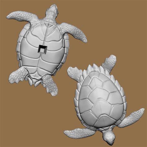 Hawksbill Turtle Sculpture 3D model 3D printable | CGTrader