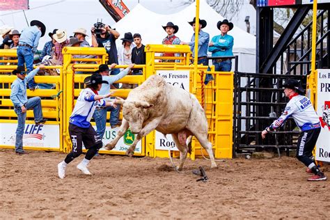 Image result for Loading Rodeo Stock