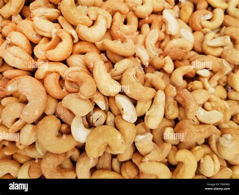 Nut Definition Spanish at Karen Spaulding blog