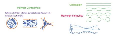 Image result for Undulation Training