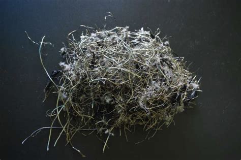 Home [www.earthstarrubber.in]