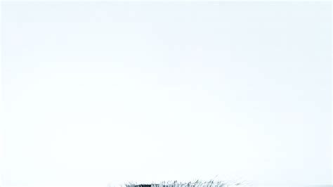 Paradigm Flooring | Conquest Collection