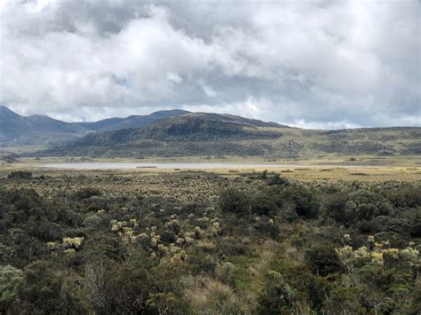 YANACONA TOURIST GUIDE (2026) All You Need to Know BEFORE You Go (with ...