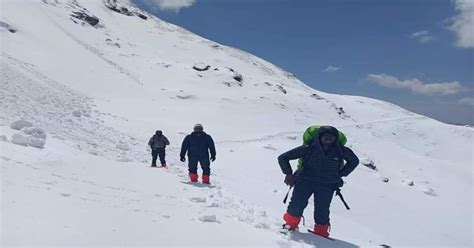 Ali Bedni Bugyal Trek 6 Days Itinerary | Best Time | Difficulty