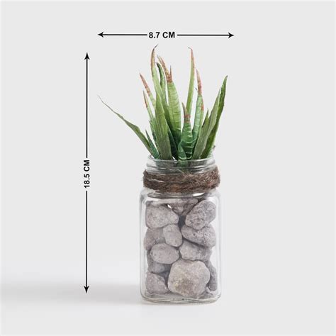 Buy Corsica Eden Artificial Succulent in Glass Jar from Corsica by Home ...