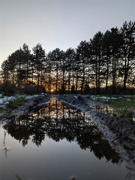 Nike+Pro+Ass Photos, Download The BEST Free Nike+Pro+Ass Stock Photos ...