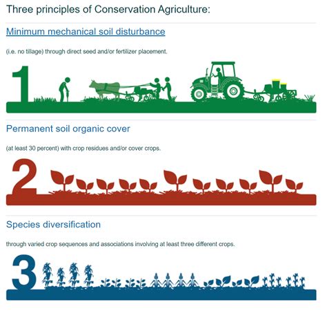 Conservation Techniques for Sustainable Farming | Legacy IAS