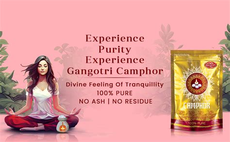 Gangotri Bhimseni Camphor Jar 250 gm, Camphor for Pooja : Amazon.in ...