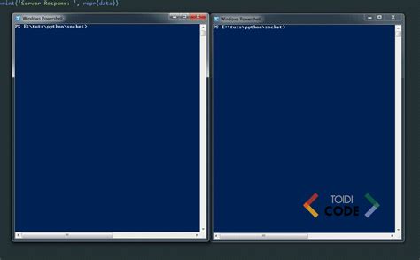 Python Socket Module 的图像结果