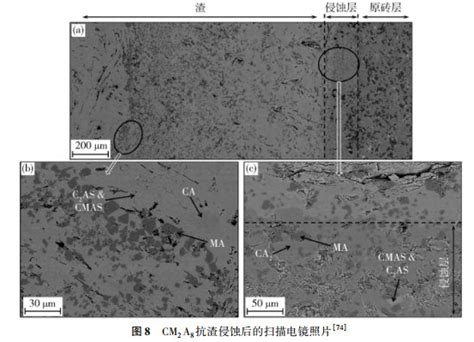 【服装材料纤维，造纸】SEM-EDX 在交通事故中司法鉴定中的应用-新材料-金鉴实验室