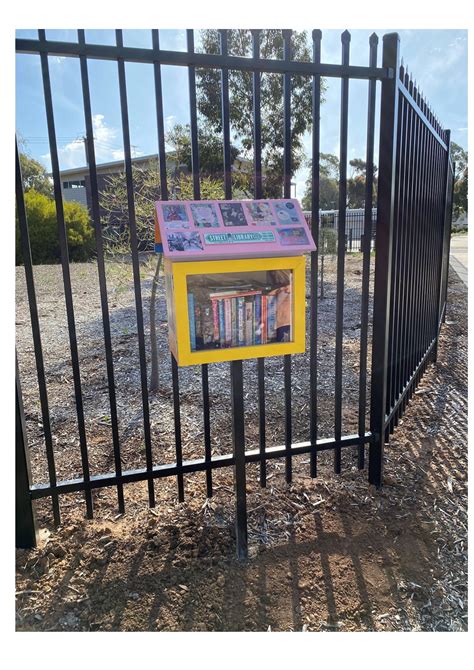 St Clair Little Library - Street Library Australia