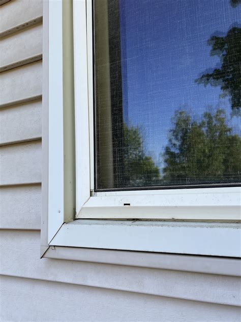 Weep Holes In Windows