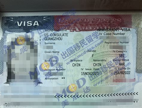 移民国外留学出国签证visa特写高清图片下载-正版图片501424360-摄图网