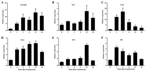 Overexpression of SlERF.F4 in Tomato Delays Fruit Ripening and Enhances ...