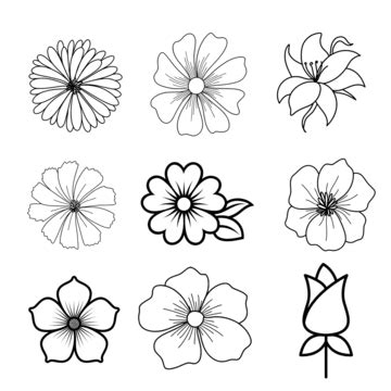 Image result for D Text in Rectangular Square Pattern