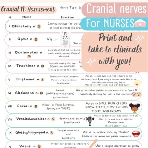 Buy Cranial Nerves Cheat Sheet for Nursing Students Online in India - Etsy