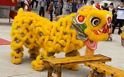 舞龙舞狮：中国民间传统文化