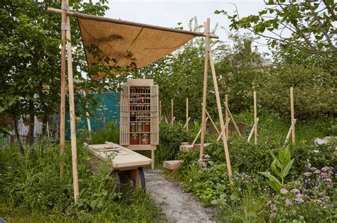 Experiments Projects 的图像结果