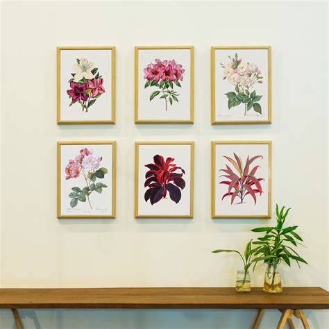 Botanical Art Set of 6, Flower Paintings, Floral Paintings – Dessine Art