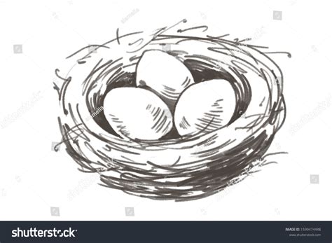 Bird Nest Pencil Drawing