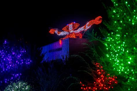 See Pierce County’s Dazzling Holiday Light Displays for 2021 ...