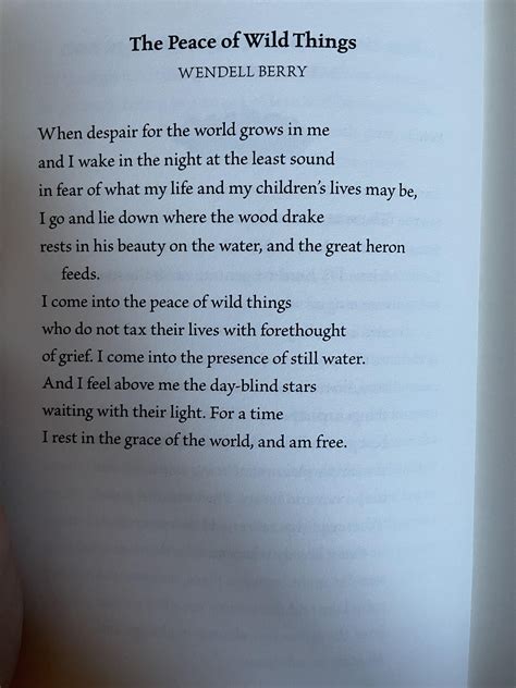 [POEM] “The Peace of Wild Things” — Wendell Berry : u/Think_Initial949