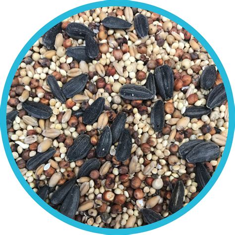 Pennington Classic Wild Bird Feed And Seed, 40 Lb. Bag | BigEasyMart.com
