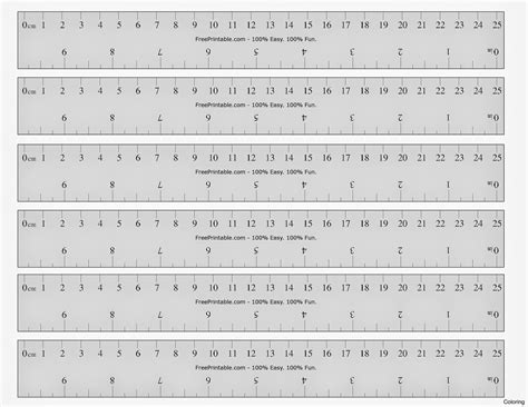 Centimeter And Inch Ruler Printable - Printable Free Templates